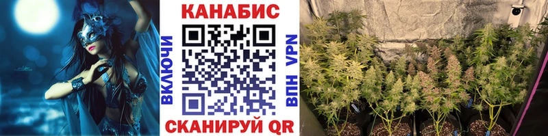 Сколько стоит Неман APVP МЕФ АМФЕТАМИН МАРИХУАНА ГАШ