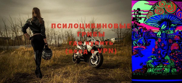 ГАЛЛЮЦИНОГЕННЫЕ ГРИБЫ Богданович